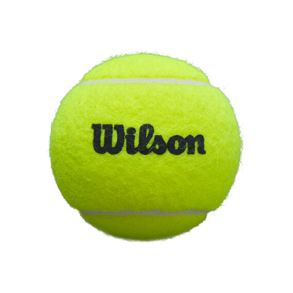 WILSON Premier Padel Ball 24 Dosen