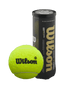 Wilson Premier Padel Speed Bälle 3er Dose
