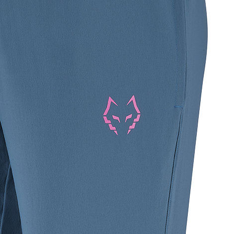 Babolat Pant Tech Lebron Blau Detail