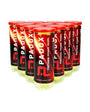 Padox Premium Padel Ballkiste (24 Dosen)